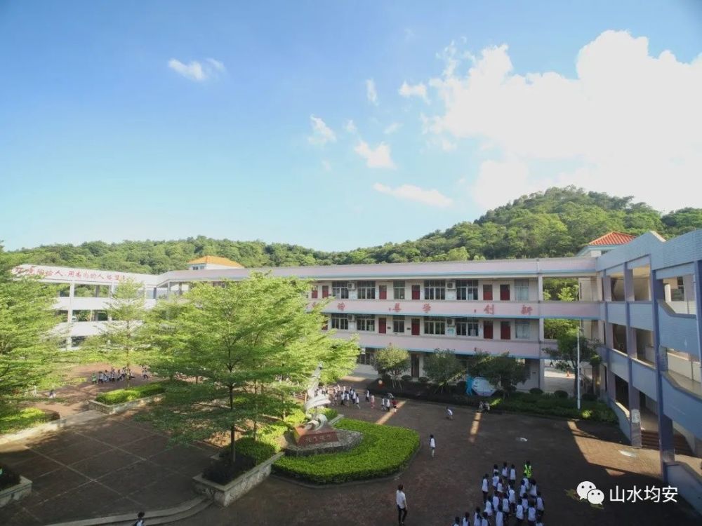 有颜值有实力!均安这间小学入选2020年广东省"绿色学校"