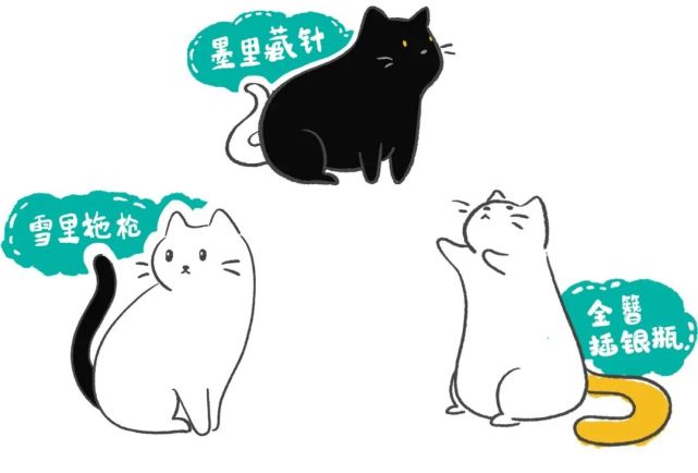 古代人如何称呼不同毛色的猫咪?