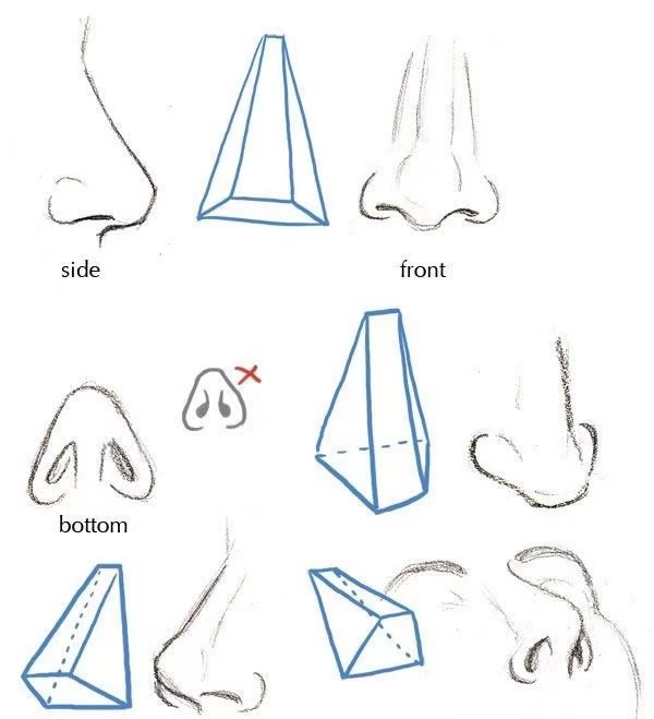 素描鼻子的多方位理解建议收藏起来