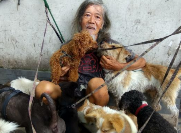 香港富二代郑六三:继承千万遗产挥霍无度,如今流浪街头与狗为伴