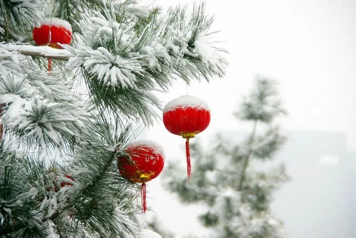 2021!合阳初雪-瑞雪兆丰年