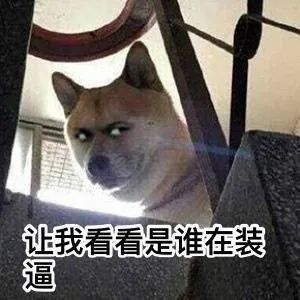 表情包|柴犬狗狗系列