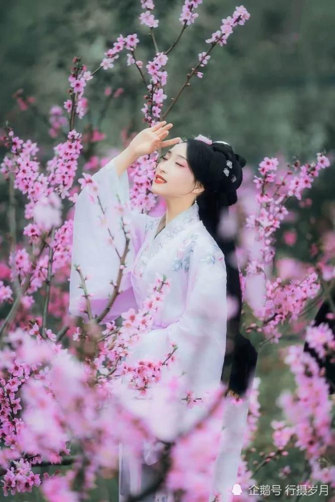 落花泪落花飞,花开花落几伤悲