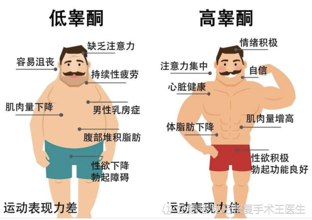 男人头发浓密意味着雄激素分泌旺盛