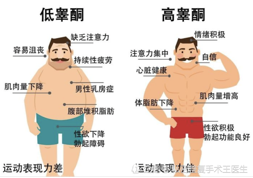 男人头发浓密意味着雄激素分泌旺盛?