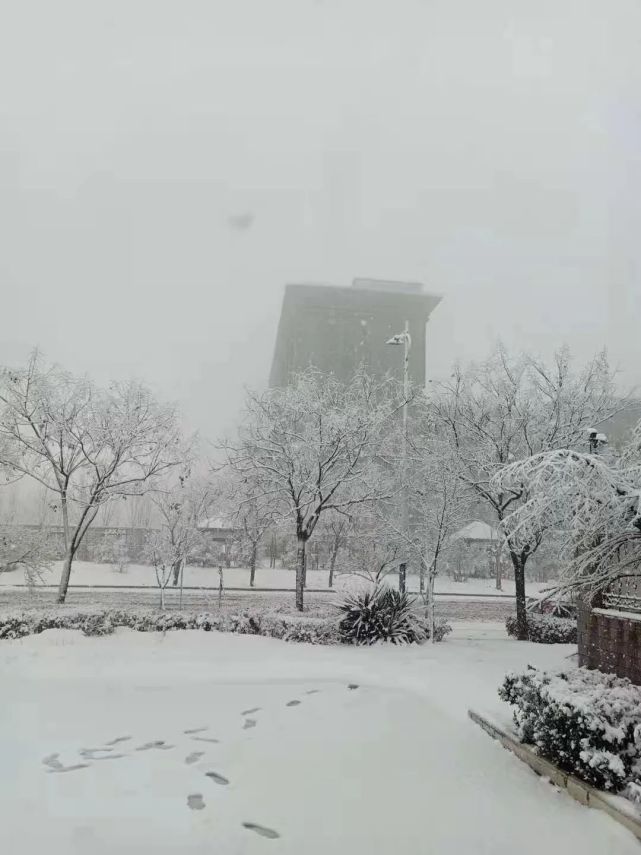 下雪了!运城2021年第一场鹅毛大雪来了(多图,视频)