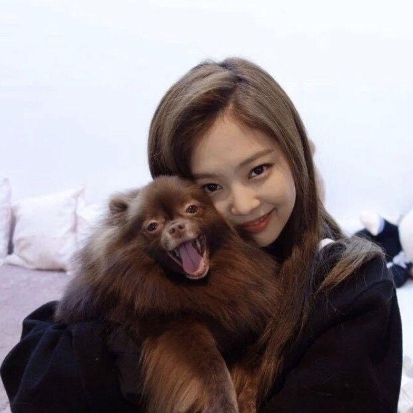 blackpink jennie头像 迪士尼的安保不行啊,公主天天出逃