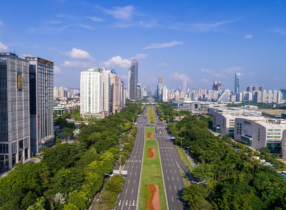 阳江市的经济总量_阳江市地图(3)
