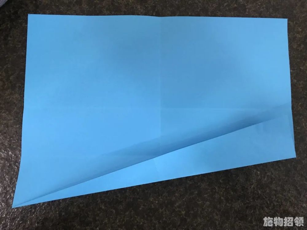 施物招领会眼镜蛇机动的纸飞机你见过吗