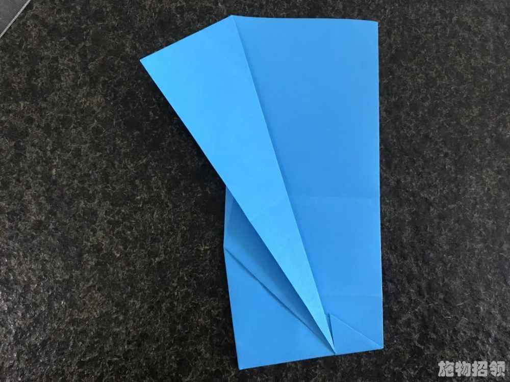 施物招领会眼镜蛇机动的纸飞机你见过吗