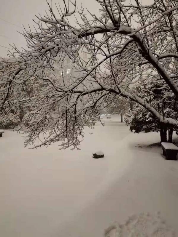 昨夜郑州大雪美出圈前方高能第二波已在来的路上