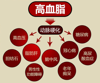 每10个成年人里就有"四个血脂异常,血脂升高的"元凶"到底是谁?