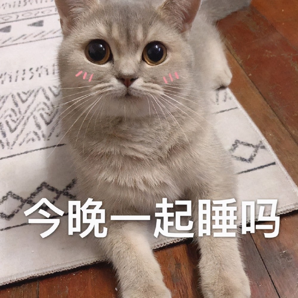 猫系表情包委屈巴巴