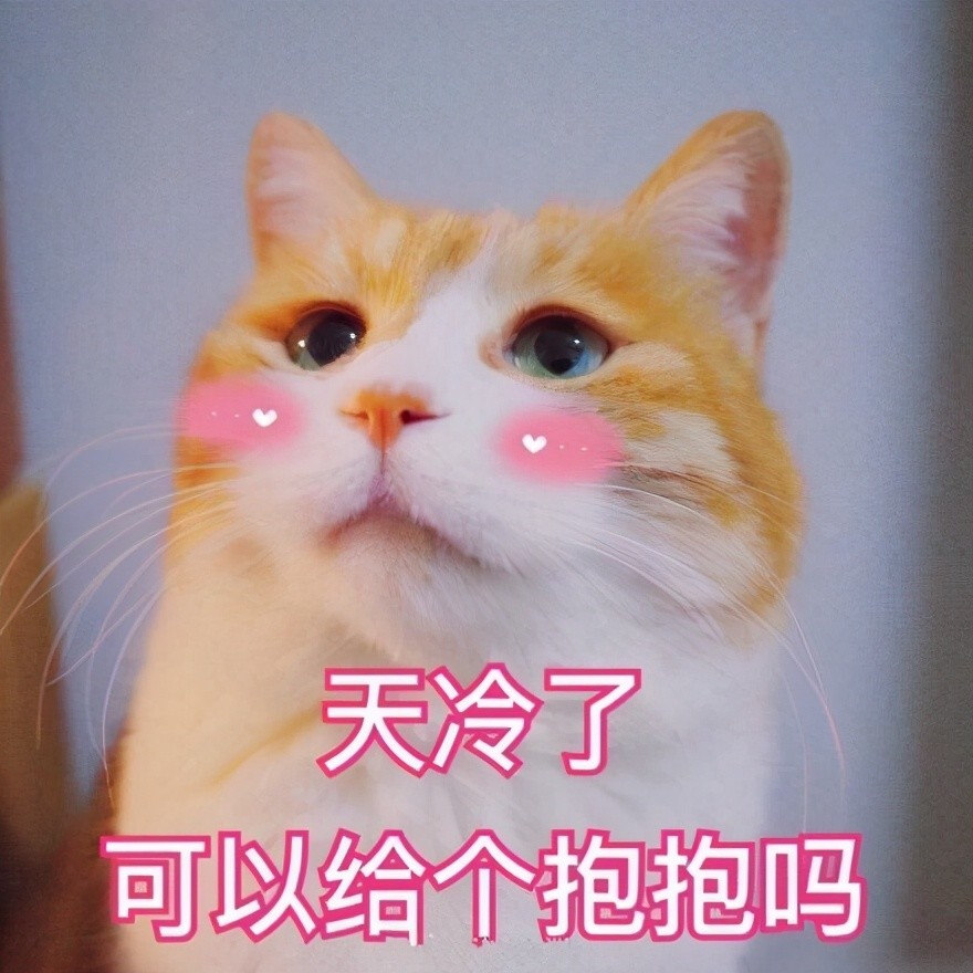 猫系表情包委屈巴巴