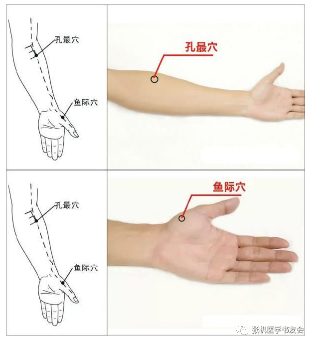 子午流注与人体睡眠
