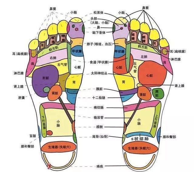 水肿:水肿的人血液循环不好,足部腿部浮肿,按摩足底,扩张末梢血管