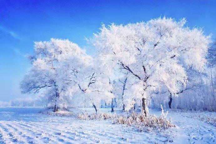 刘义福|太阳雪