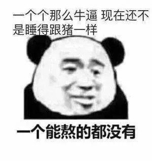 熊猫头表情包|你的熊皇,无限猖狂