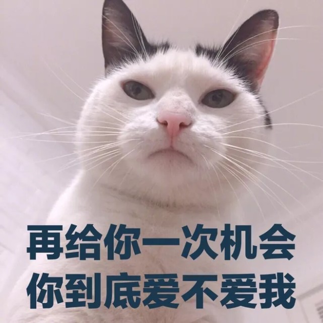 生气表情包·就忍一秒