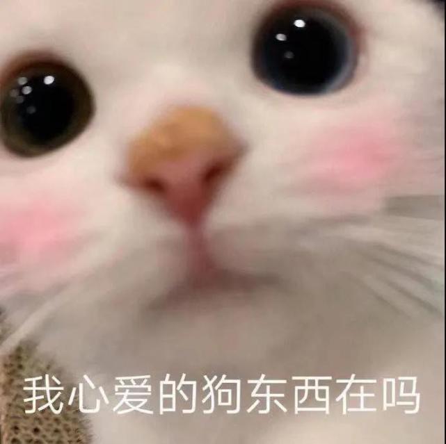 我错了