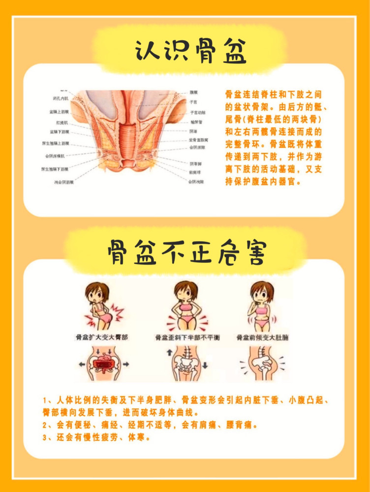 【骨盆肌|盆底肌|腹直肌】三大产后修复全解析