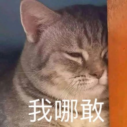 表情包:好困可以不去上班吗,我不想努力了