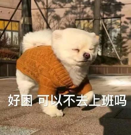 表情包好困可以不去上班吗我不想努力了