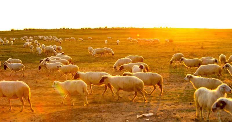 盐池gdp_运城盐池(3)