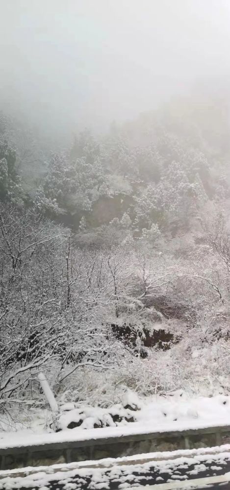 2021年的第一场雪,大雪