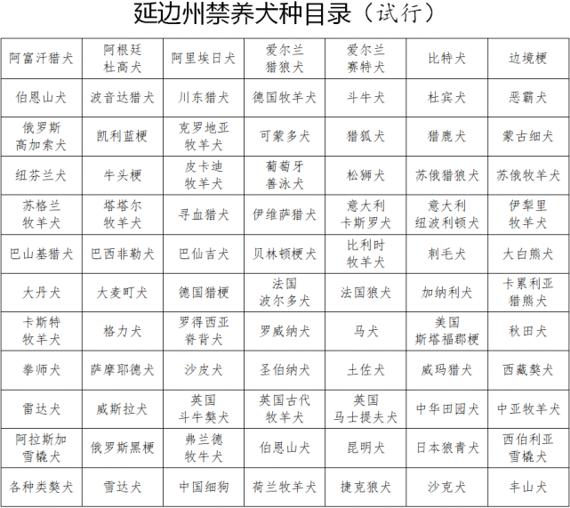我州禁养犬种目录公布 这84种狗不能养 60厘米以上的大型犬禁止饲养