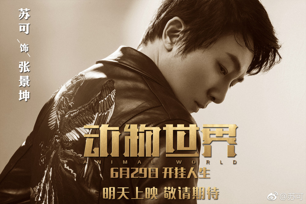 扫黑风暴好戏开场:哥俩儿相爱相杀,苏可变孙红雷和张艺兴身后的男人?
