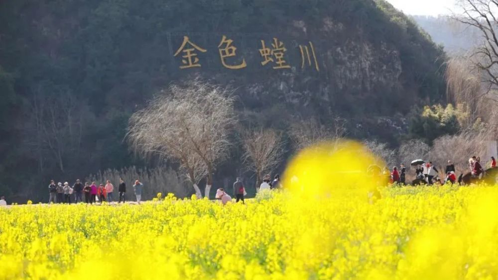 温泉牧羊湖离金色螳螂川大概3个公交站的距离,也是观赏油菜花的好地方