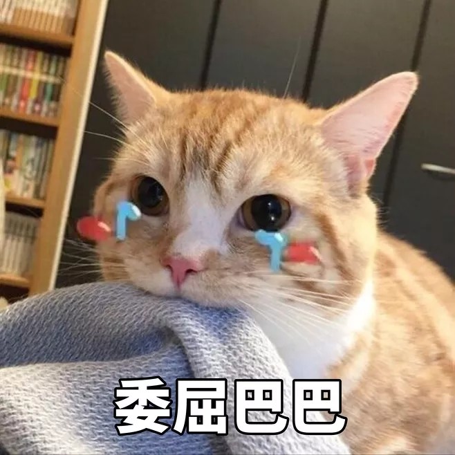 猫系表情包·可怜弱小无助