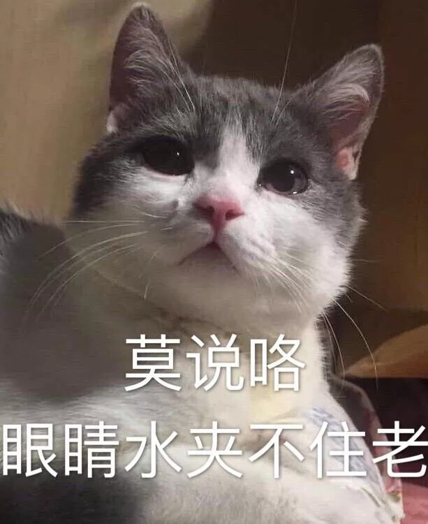 猫系表情包·可怜弱小无助