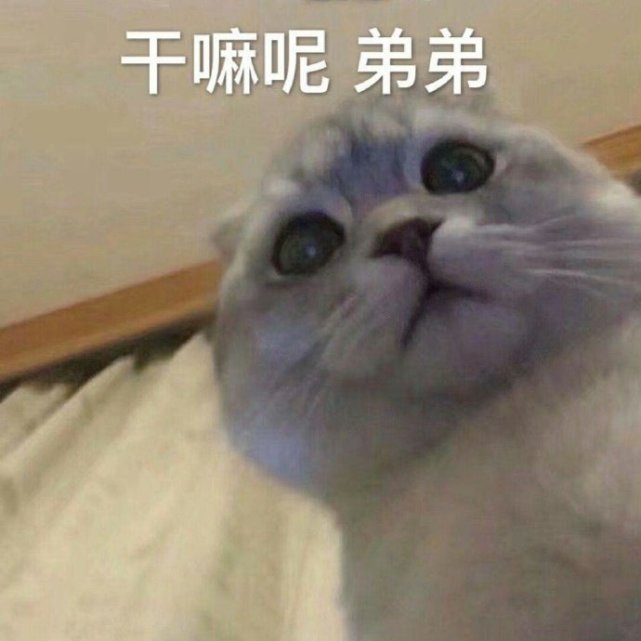 沙雕表情包|:干嘛呢 弟弟