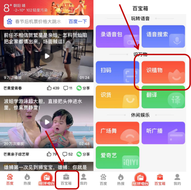 拍照就能识别!百度大字版app"识植物"功能还有这个用处