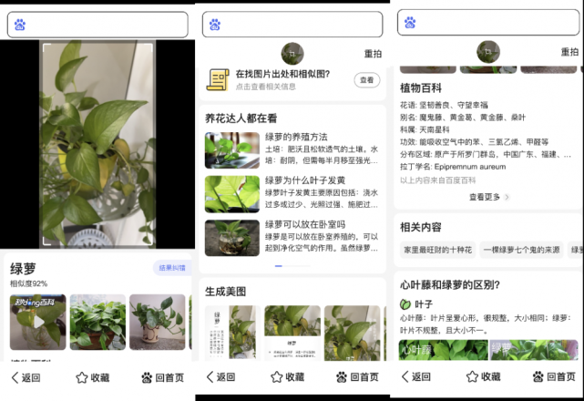 拍照就能识别!百度大字版app"识植物"功能还有这个用处