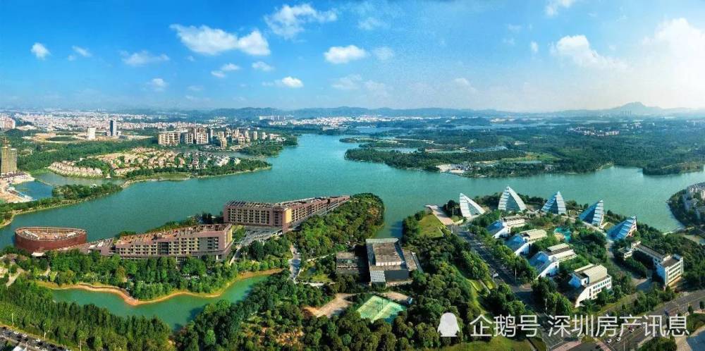 gdp2021_广州各区gdp2021图