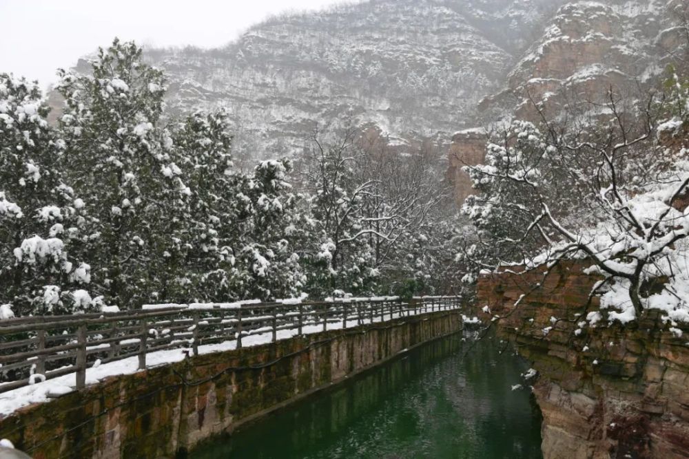 "犇"你而来!林州牛年第一场雪下的很像样