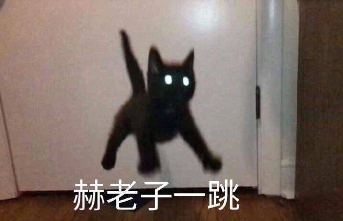 萌宠表情包:想你,脑袋里都是你!
