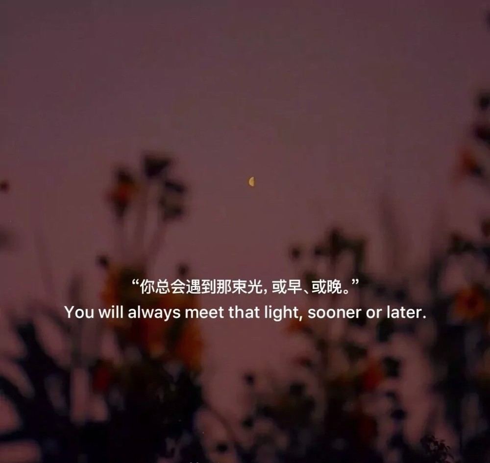 背景图:不是所有的对不起,都能换来没关系