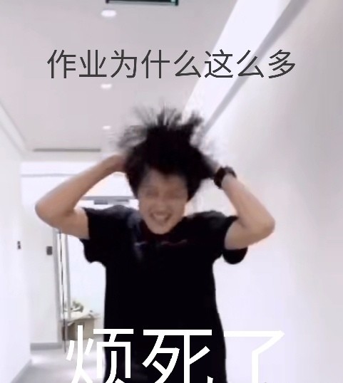 豆几憨憨表情包张极