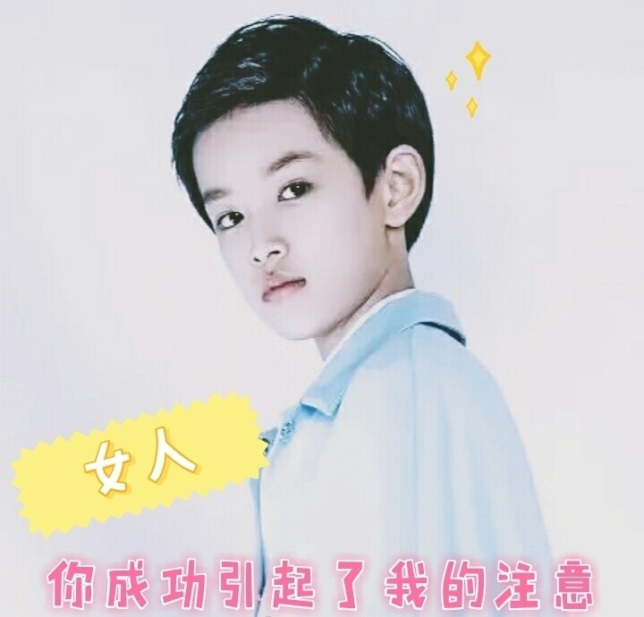 豆几憨憨表情包/张极