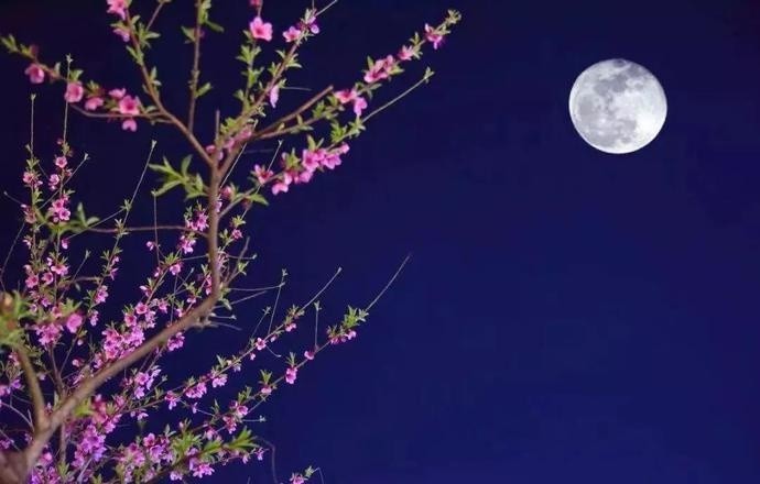 你知道今年正月十五的月亮多少钱吗