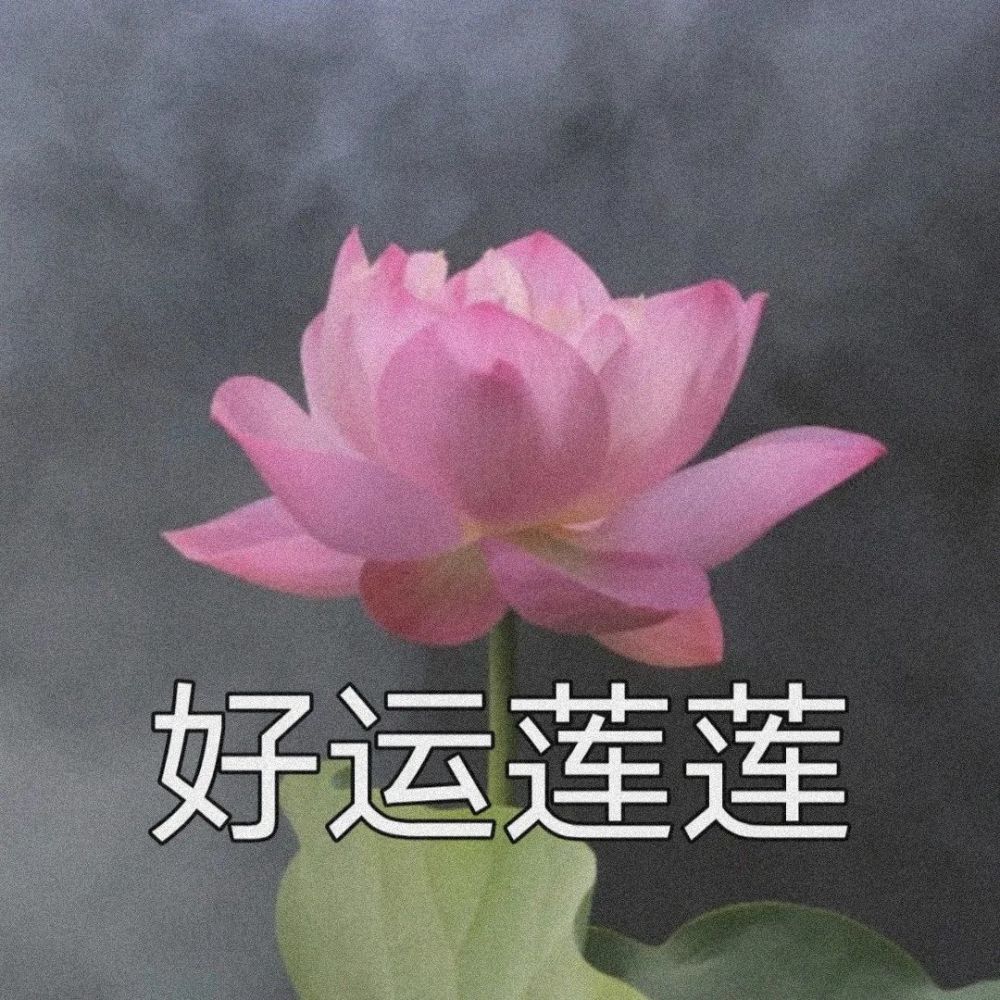 从哭着控诉 到笑着对待 到头来 不过是一场随遇而安 可我念头只有躲