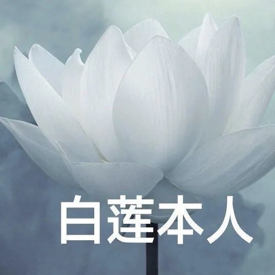 从哭着控诉 到笑着对待 到头来 不过是一场随遇而安 可我念头只有躲