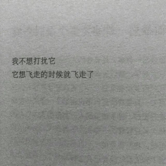 霸气迪士尼朋友圈背景图