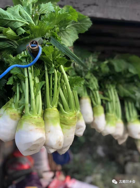 先是将从土里扯出来的大头菜用刀削干净根须 把萝卜洗得干干净净