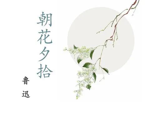 散文名著《朝花夕拾》20句语录,感受鲁迅的战斗锋芒
