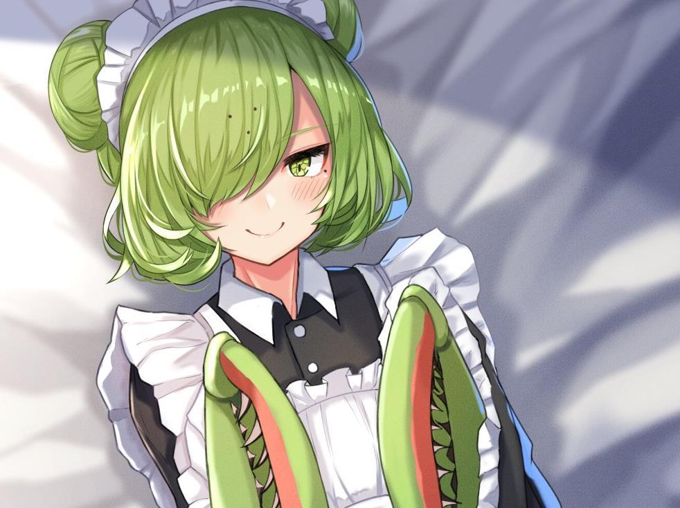 日本一位画师kumano_plan,就非常的喜欢画这些虫子女孩,不得不说还有